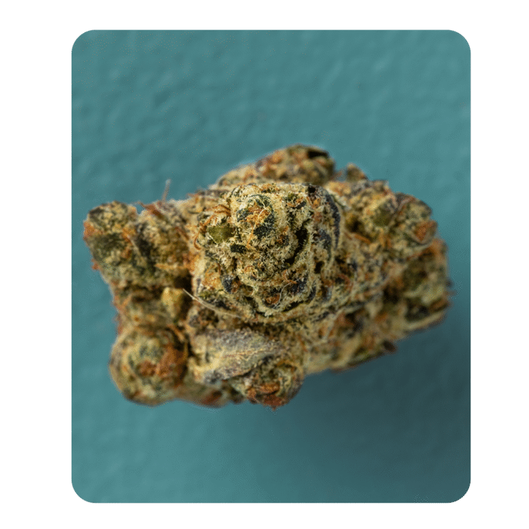 macro center hybrid
