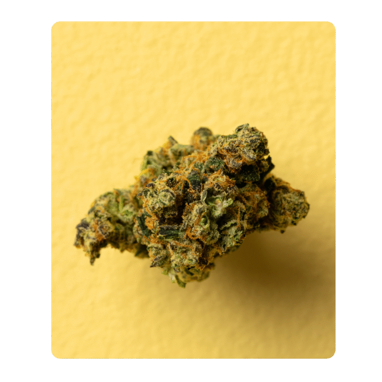 macro center of bud