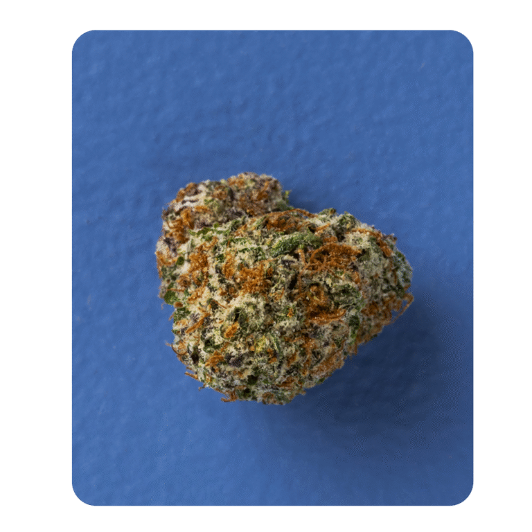 macro indica in curved frame