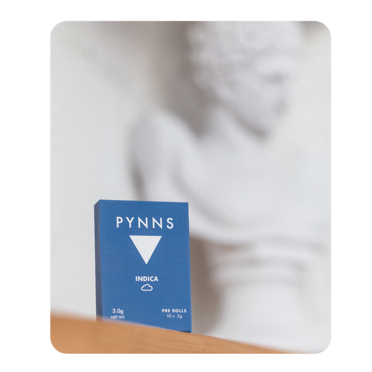 pynns on shelf indica with statue