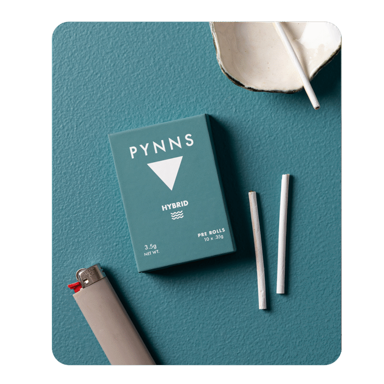 hybrid lighter and dish
